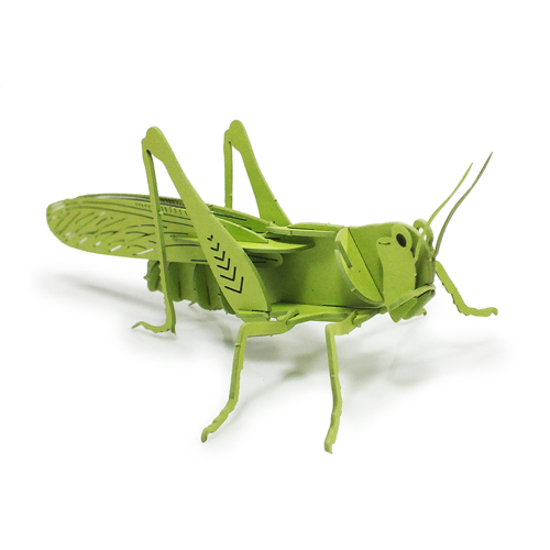 Quebra CabeÇa 3d Gafanhoto<small>qc3dgf - Ne</small>