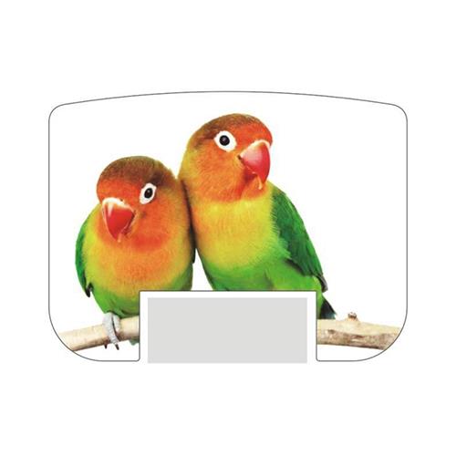 Capa Ilustrada Periquito para Shiny S853<small>s853tb04 - Shiny</small>
